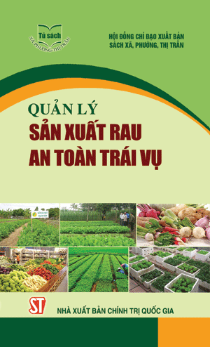 Quản lý sản xuất rau an toàn trái vụ