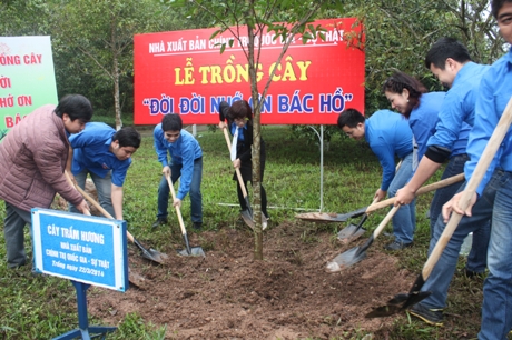 le trong cay 2