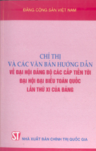 Chỉ thị và các văn bản hướng dẫn về Đại hội Đảng bộ các cấp tiến tới Đại hội đại biểu toàn quốc lần thứ XI của Đảng