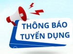 Tuyển dụng lao động hợp đồng đối với nhân viên công nghệ thông tin