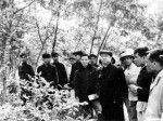 Đồng chí Trường Chinh - Nhà văn hóa lớn